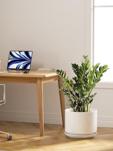 LE TAUCI 12 Inch Pots for Plants, Ceramic Plant Pots with Drainage Holes and Saucers, Elegant and Durable Large Plant Pot, Perfect for Home & Office Decor, White - Image 4