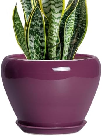 Ceramicfor Ceramic Planter - 8 Inch Plant Pot Indoor with Drainage Hole and Saucer, Glaze Decorative Planter, Round Flower Pot, Plant Lover Gifts, Home Garden Office Decor, Purple by Ceramicfor