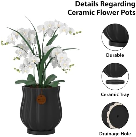 5.8" Matte Black Ceramic Plant Pot with Saucer - Image 3