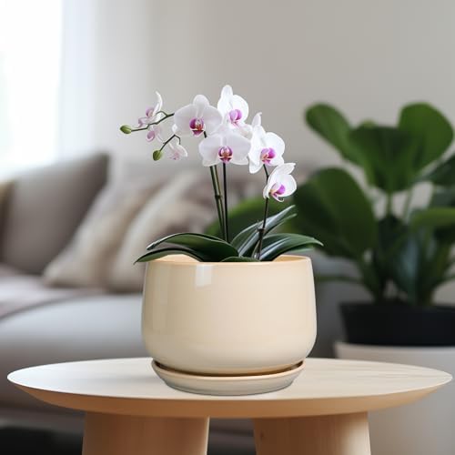 G EPGardening Ceramic Planter, 7 Inch Plant Pots, Beige - Image 2