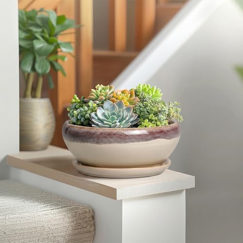 SQOWL Succulent Pots 8 Inch - Ceramic Bonsai Pots for Indoor Plants, Round Shallow Plant Pot with Drainage Hole and Saucer, Bowl Planter Outdoor, Patio Decor, Plant Lover Gifts, Beige - Image 6