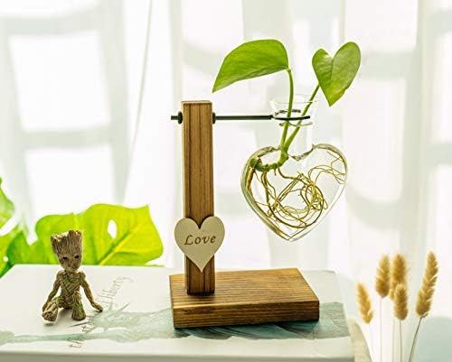 Kingbuy Hydroponic Glass Vase Vintage Desktop Plant Terrarium Planter Bulb Vase Water Planting Propagation Vase Planters Hydroponics Plants with Retro Wooden Stand Home Garden. (D(1 Heart Vase)) - Image 3