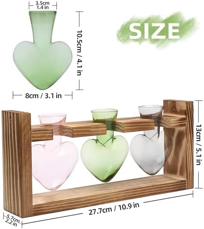 Plant Terrarium Propagation Stations Hydroponics - Image 4