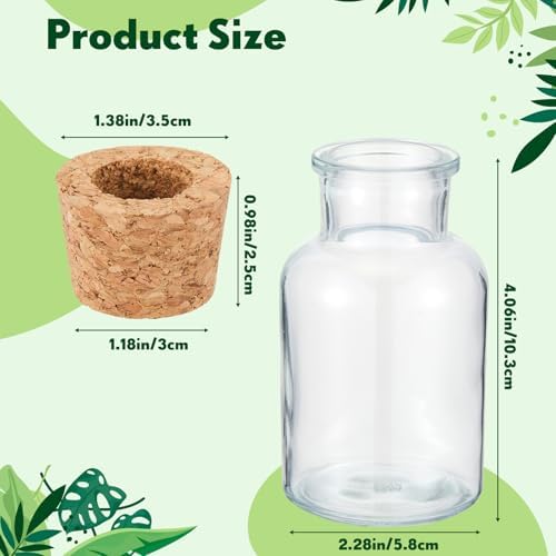 12 Pack Glass Plant Propagation Stations, Cylindrical - Image 2