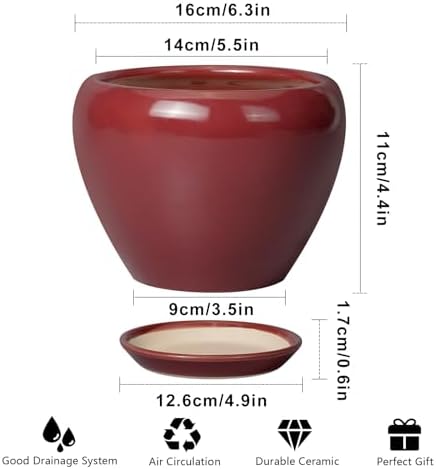 Ceramicfor Ceramic Pot for Plants - 6 Inch Plant Pot Indoor with Drainage Hole and Saucer Succulent Outdoor Planter Round Flower Pot for House Patio Decor Red - Image 3