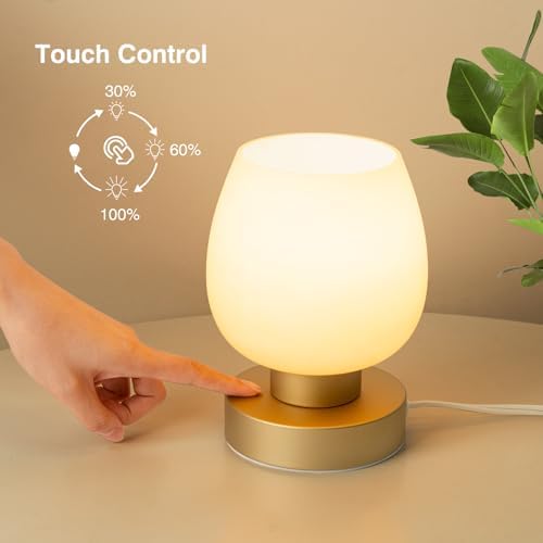 Touch Bedside Table Lamp - Desert Titanium Color Glass Lamp Shade, Warm LED Bulb, 3 Way Dimmable, Simple Design - Image 2