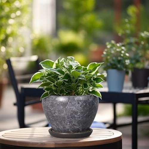 Ceramicfor Ceramic Planter - 6 Inch Plant Pot with Drainage Hole and Saucer, Succulent Pot Glaze Round Flower Pot for Indoor Outdoor Plants, Gray - Image 6