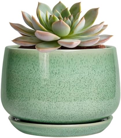 G EPGardening Ceramic Pots for Plants - 6 Inch Plant Pot with Drainage Hole and Saucer, Modern Ceramic Planter for Indoor Outdoor, Round Flower Planter, Gifts for Plants Lovers, Home Decor, Green by GEPGardening