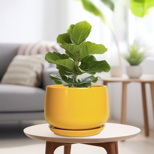 G EPGardening Ceramic Flower Pot - 9 Inch Plant Pots for Indoor Outdoor Plants, Round Ceramic Planter with Drainage and Plant Saucer, Modern Planter, Home Office Decor, Garden Gifts, Yellow - Image 4