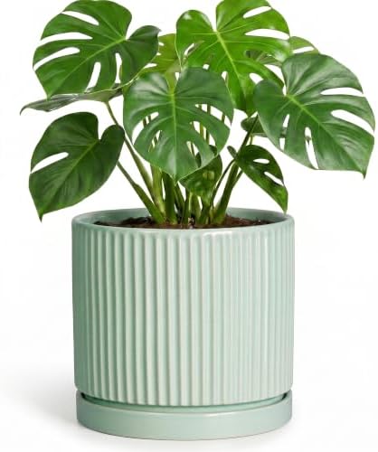Ceramic Plant Pots, 8 Inch Pots for Plants with Saucer, Mint Green by Unknown
