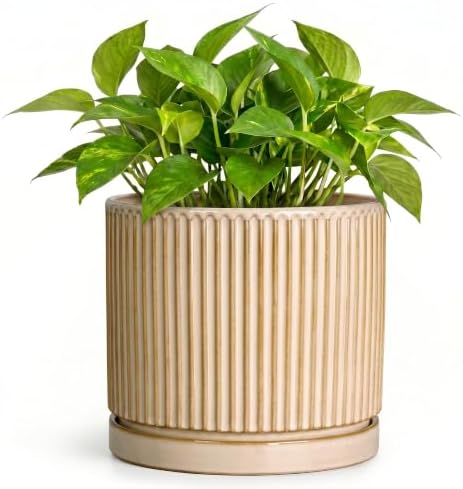 Ceramic Planter, 6 Inch Plant Pot, Pots for Plants with Tray, Beige by Unknown