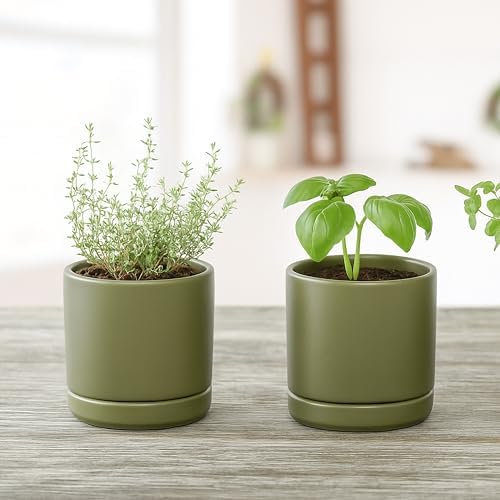 D'vine Dev 3.5 Inch Ceramic Planter Pot, Olive, 94-O-A-J - Image 5