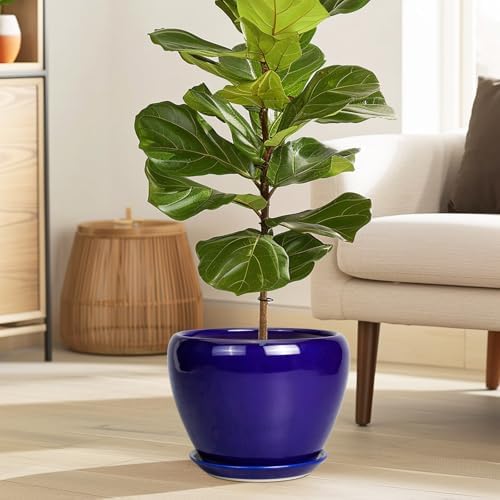 Ceramicfor Ceramic Plant Pot 8 Inch, Planter for Indoor Plants, Royal Blue - Image 2