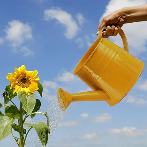 Watering Can Gardening Tool Accessories, Sprinkling Can 1L Metal Flower Garden Watering Can for Outdoor Indoor Plants Lawn Garden (Yellow) - Image 2