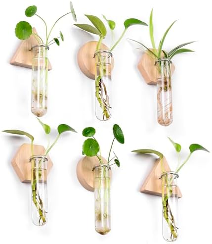 Wall Hanging Glass Planter Plant Propagation Station by MITIME