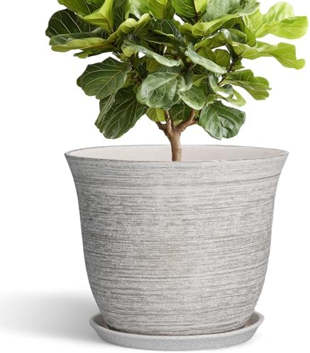 Ceramic Planter - 12 Inch Plant Pot with Drainage Hole and Saucer, Round Large Plant Pots for Indoor Outdoor, Modern Decorative Flower Pots, Garden Room Home Decor, Housewarming Gifts, Grey by SUNPOTFOR