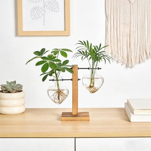 Mkono Propagation Stations,2 Heart Shaped Glass Plant Vases with Wood Stand - Image 7