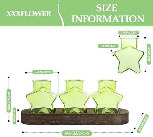 XXXFLOWER Plant Propagation Station with Wooden Stand 3 Green Star Jars - Image 2