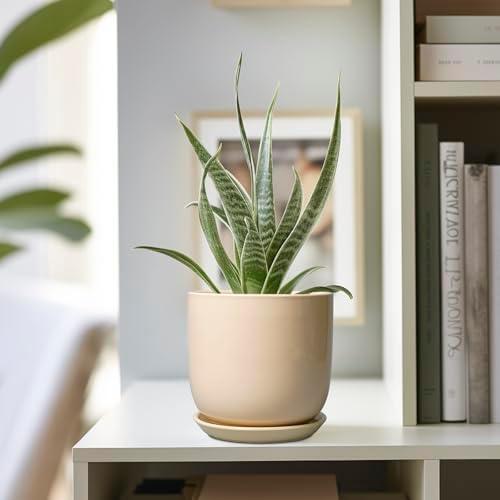 Ceramic Flower Pot 5 Inch - Round Succulent Planter for Indoor Plants with Drainage Hole and Saucer, Patio Room House Office Home Decor, Yellow - Image 5