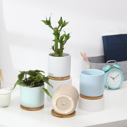 4 Inch Planters with Drainage Hole and Saucer, Small Ceramic Cylinder Plant Pot with Trays for Succulent, Aloe, Cactus & Herbs, Morandi Colors, Set of 4 - Image 6
