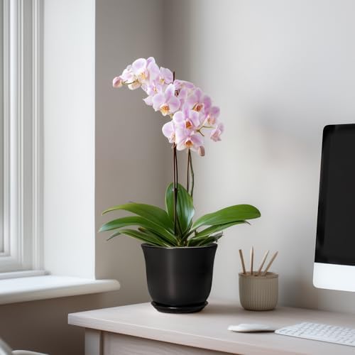 Ceramic Planter - 5.6 Inch Plant Pot for Indoor Outdoor, Round Succulent Pots with Drainage Hole and Saucer, Orchid Flower Pot, Modern Planter, Home Office Decor, House Warming Gifts, Black - Image 3