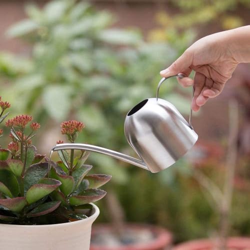Metal Indoor Plant Watering Can, 500ml/17OZ Stainless Steel Small Watering Can Pot with Long Spout, Mini Garden Watering Pot with Comfort Handle for Office House Balcony Succulent Flowers - Image 6