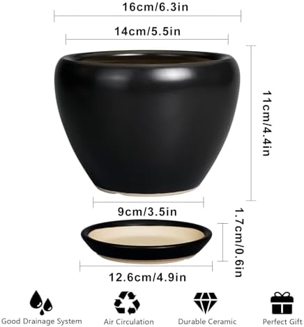 Ceramicfor Ceramic Planter Pot - 6 Inch Plant Pot with Drainage Hole and Saucer Round Planter for Indoor Plants Outdoor Succulent Pot Modern Flower Pot for Home Decor Black - Image 3
