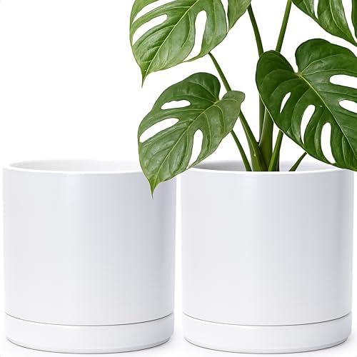 D'vine Dev 2-Pack Ceramic Pots with Saucers, White, 10 in, 94-V-E-1 by DvineDevPlanterPotsandStand