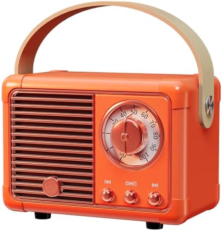 Dosmix Retro Bluetooth Speaker, Small Vintage Decor Gifts Pumpkin Orange by DosmixWirelessSmartLife