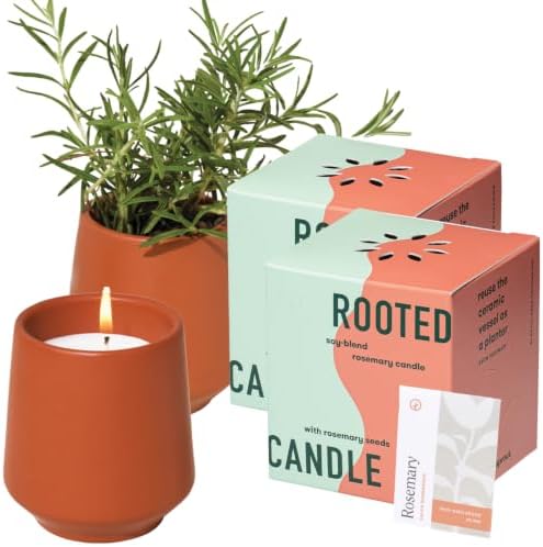 Modern Sprout Soy Candle Planter - Grows Rosemary - Cucumber Scent - 2-Pack by ModernSprout
