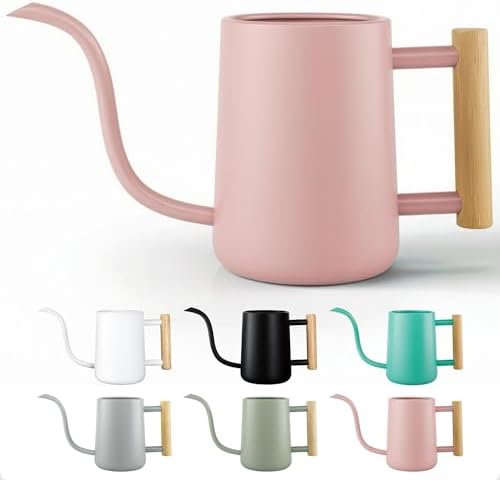 Metal Small Indoor Watering Can with Long Spout & Real Wood Handle, 35oz by HBDesignCo
