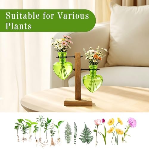 XXXFLOWER Plant Propagation Station Terrarium 2 Green Heart Shaped Vase - Image 5