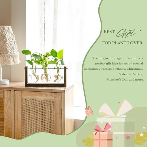 Mkono Plant Propagation Station Hanging Desktop Wooden Stand 3 Vases Holder - Image 2