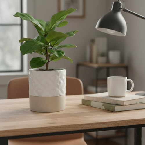 Nihow Ceramic Self Watering Plant Pot for Indoor Plants, 6 Inch,Cream White - Image 6