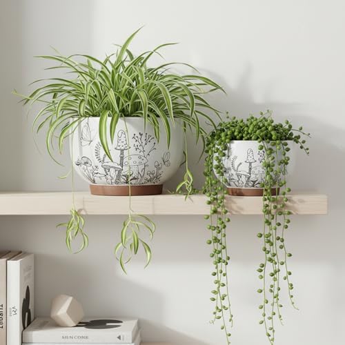 Terracotta Pots, 6 Inch Plant Pots with Drainage Holes for Indoor Plants - Image 6
