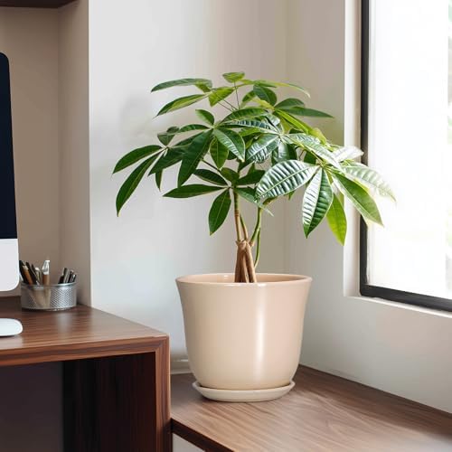 8 Inch Plant Pot, Ceramic Pots for Plants Indoor, Beige - Image 3