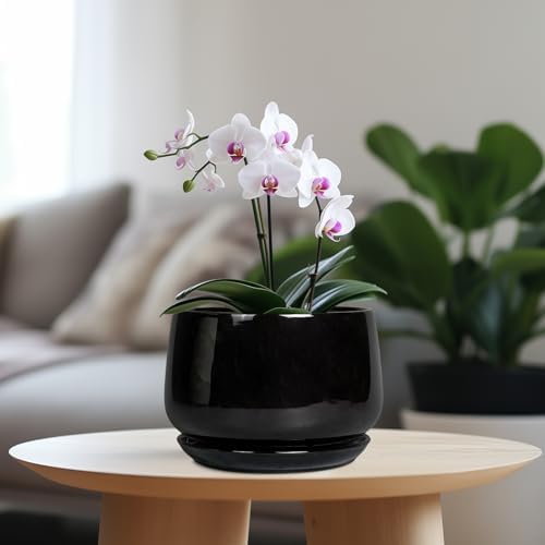 G EPGardening Ceramic Planter 7 Inch, Ceramic Pot for Plants, Black - Image 2