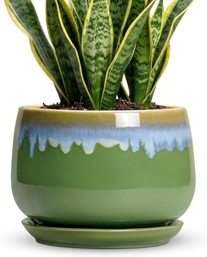 9 Inch Indoor Plant Pots - Ceramic Planters for Indoor Plants, Decorative Planter with Drainage and Saucer, Round Flower Pot, Porch Garden Office Decor, Gardening Gifts for Women, Green-Blue by Fivepot