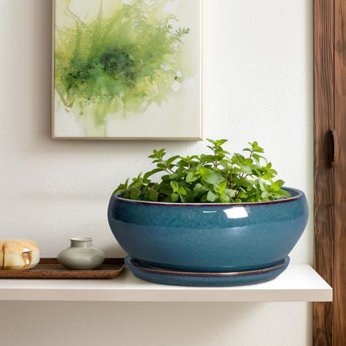 SQOWL Bonsai Tree Pots - 12 Inch Ceramic Succulent Pots, Large Shallow Planter with Drainage Hole and Saucer, Bowl Round Planters for Indoor Outdoor Plants, House Decor, House Warming Gifts, Blue - Image 5