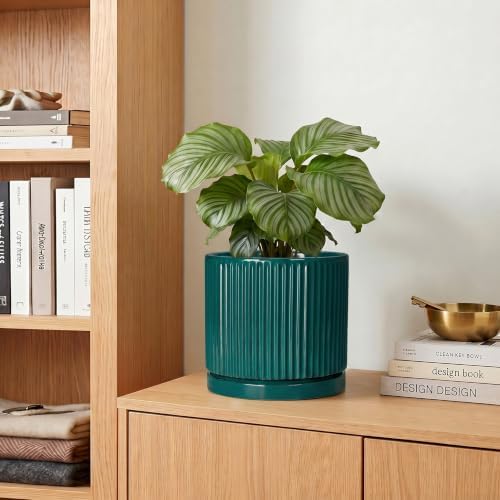 Ceramic Planter, 6 Inch Pots for Plants with Tray, Blackish Green - Image 7
