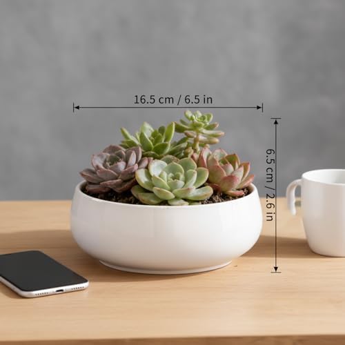Lotus Bowl, Ceramic Lotus Bowl Planter Shallow Flower Pot for Indoor Outdoor Home Decor, White 6.5 Inch. - Image 7