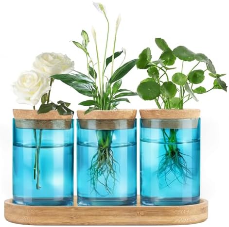 Dahey Plant Propagation Stations, Glass Vases with Wooden Stand & Lid, Blue by Dahey