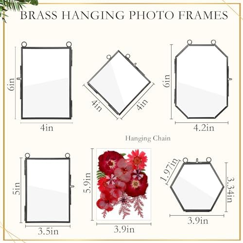 Bucherry 5 Pcs Glass Frame for DIY Pressed Flowers Art Brass Hanging Photo Picture Frame with Chain and 6 Styles Pressed Flowers Collage Glass Craft Frames for Wall Decor Display Gallery (Black) - Image 2