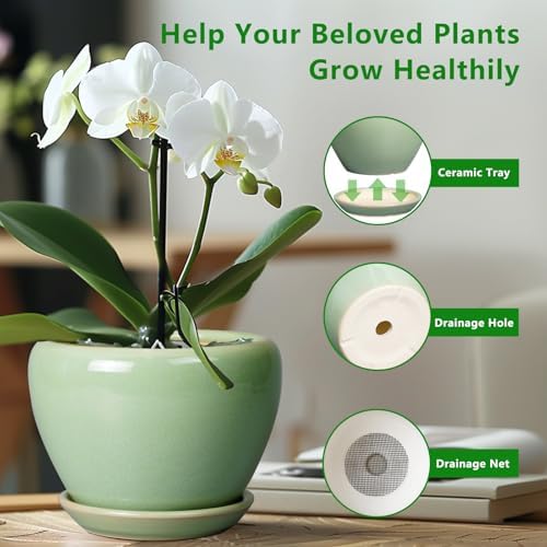 Ceramicfor 6 Inch Plant Pot - Ceramic Planter for Indoor Plants Round Planter Outdoor Plant Pot with Drainage Hole and Saucer Modern Flower Pot for Succulent Garden Green - Image 5