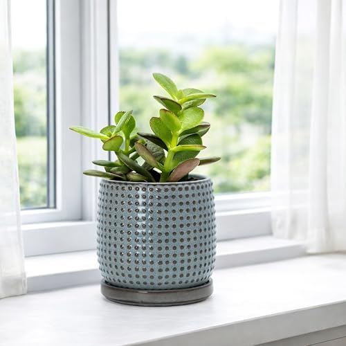 D'vine Dev Beaded Ceramic Pot with Saucer, 4 in, Graphite Blue, 27-C-Z-9 - Image 6