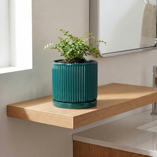 Ceramic Planter, 6 Inch Pots for Plants with Tray, Blackish Green - Image 3