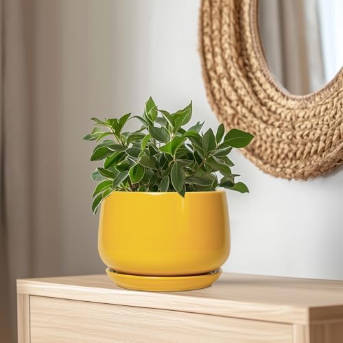 G EPGardening Ceramic Flower Pot - 9 Inch Plant Pots for Indoor Outdoor Plants, Round Ceramic Planter with Drainage and Plant Saucer, Modern Planter, Home Office Decor, Garden Gifts, Yellow - Image 5
