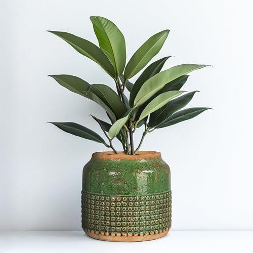 Creative Co-Op Round Terra-Cotta Hobnail Planter Vase with Heavily Distressed Finish, Green - Image 7
