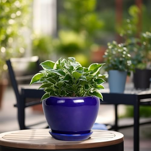Ceramicfor 6 Inch Plant Pot - Ceramic Pots for Plants Succulent Pot with Drainage Hole and Saucer Round Planter Outdoor Flower Pot for Herb Snake Plants Blue - Image 4