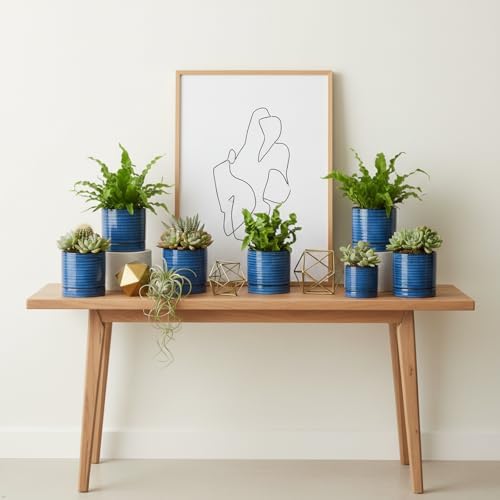 HASENSE Ceramic Indoor Plant Pots, 4.6 Inch Small Flower Planters with Drainage Hole and Saucer, Vintage Reactive Glaze Blue Pots for Succulents, Cactus, Herbs, Home Decor, Set of 4 - Image 7